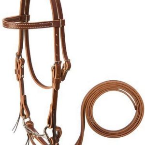 Mini Horse Bridle, Sunset