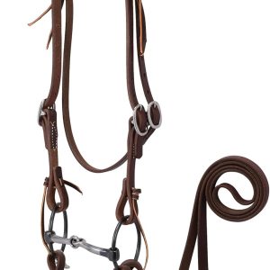 Working Tack Bridle