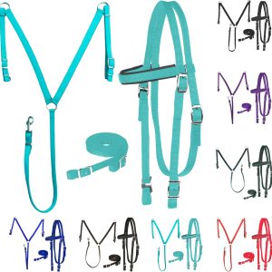 Nylon Padded Equestrian Browband Headstall, Reins & BreastCollar Set for Horse- Full